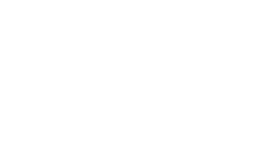 Executed Ideas